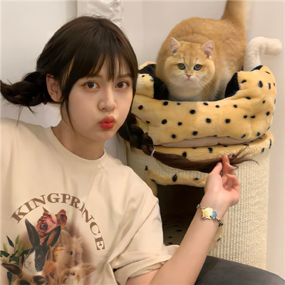 克孜勒苏柯尔克孜伴游女生星晓莉的资料